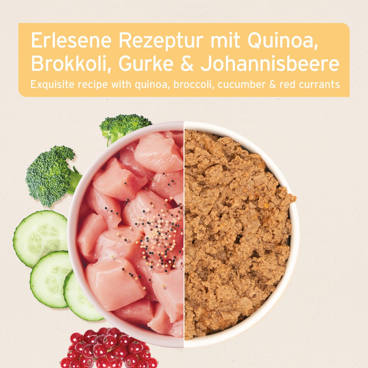 AniForte Nassfutter für Hunde mit Pute, Quinoa, Brokkoli, Gurke und Johannisbeere, natürliche Zutaten, ausgewogene Ernährung, in Deutschland hergestellt