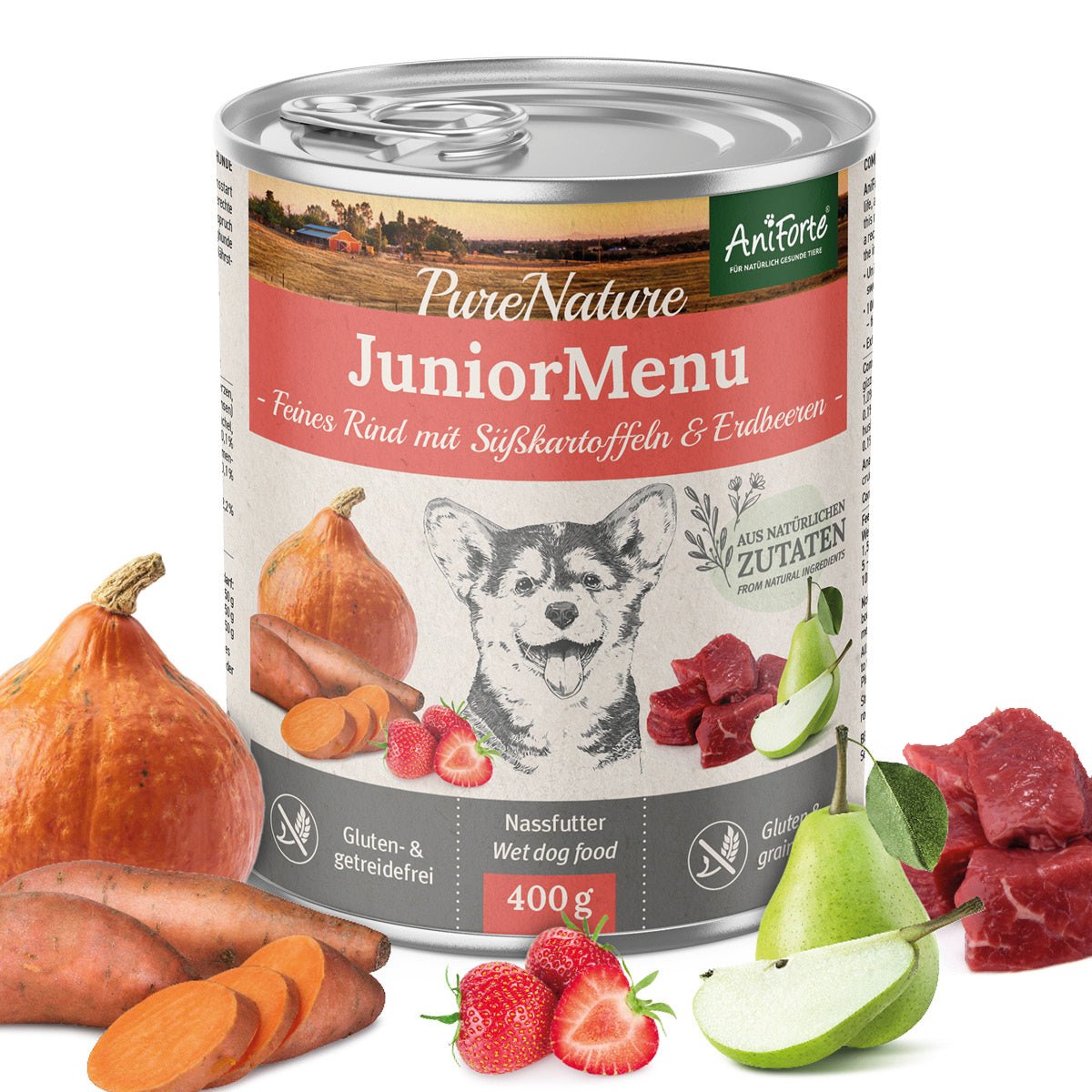AniForte JuniorMenue Nassfutter Feines Rind mit Süßkartoffeln, Kürbis und Erdbeeren, glutenfrei, 400g Dose für Welpen und junge Hunde.