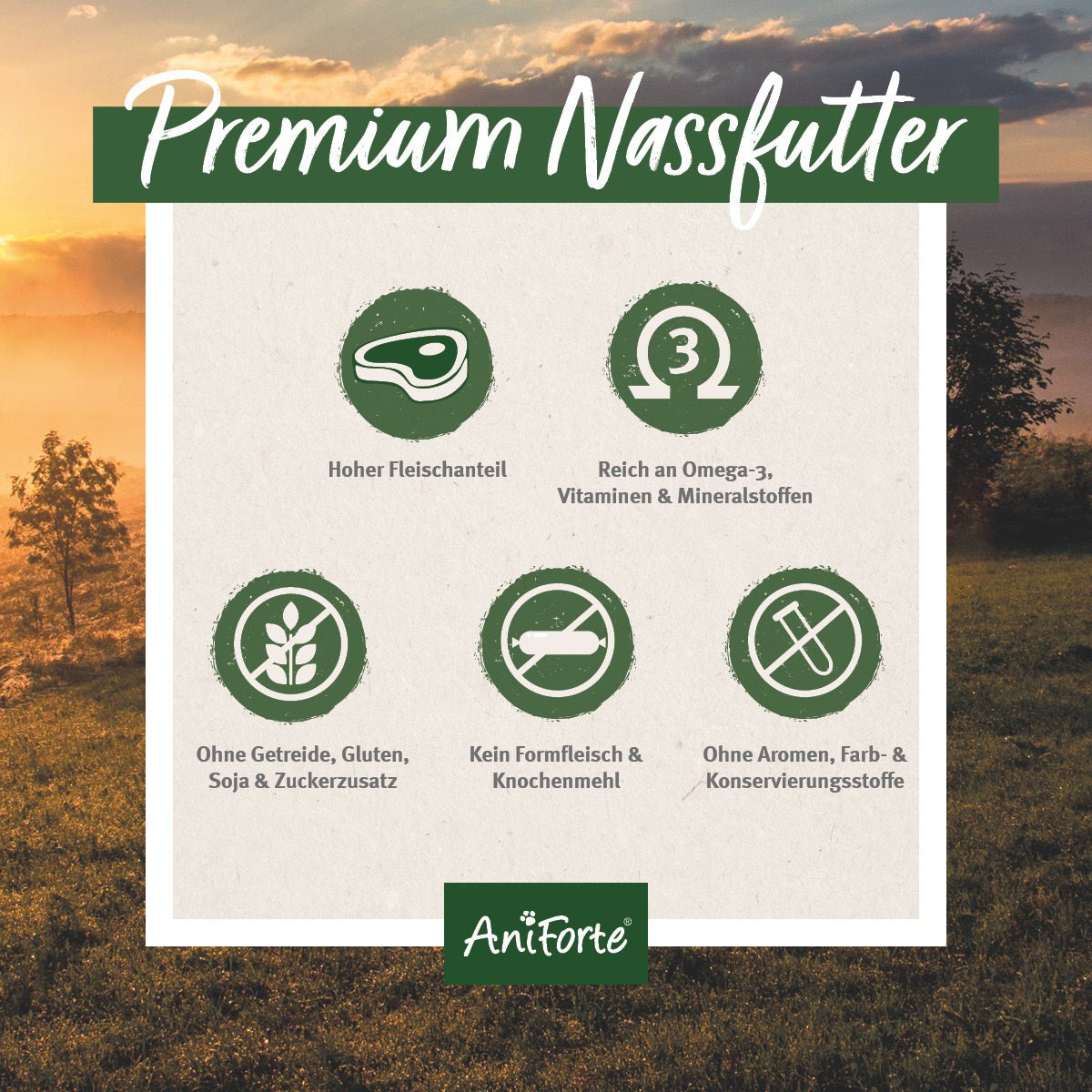 AniForte Nassfutter JuniorMenue zartes Huhn mit Möhrchen, hochwertiges Hundefutter ohne Getreide, reich an Omega-3 und Vitaminen, ohne Zusatzstoffe, für Welpen und junge Hunde