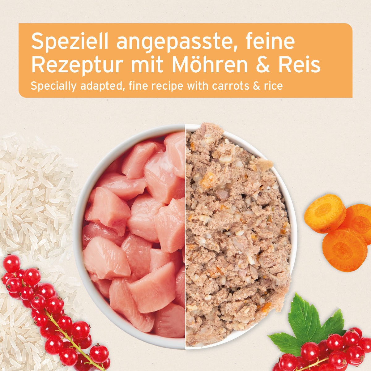 AniForte Nassfutter Senior Huhn mit speziell angepasster Rezeptur aus hochwertigem Hühnerfleisch, Reis, Möhren und natürlichen Zutaten für ältere Hunde