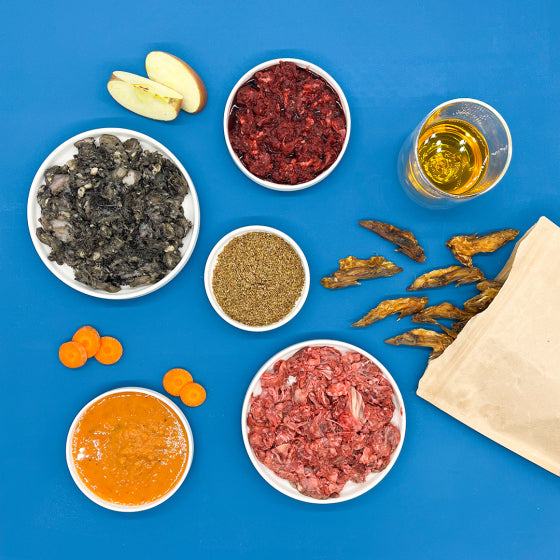 SchnupperBox Menü 2 mit tiefgefrorenem Fleisch, Obst, Gemüse, Öl, Kräutern und Knabberspaß auf blauem Hintergrund.