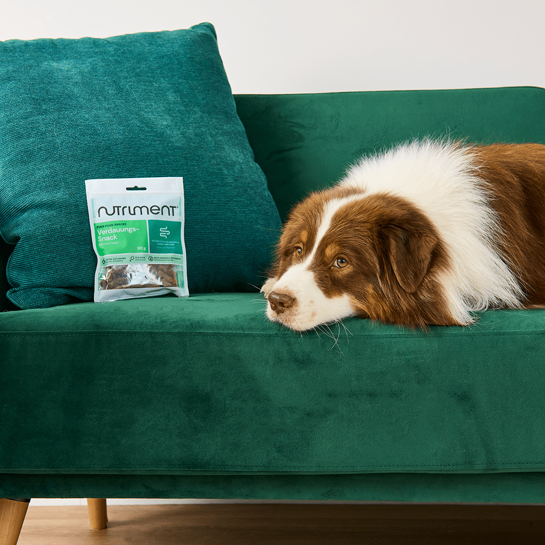 Nutriment Verdauungs-Snack - haustierkost.de®