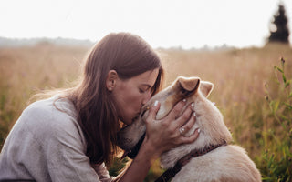 Wie wichtig ist Fett für den Hund? - haustierkost.de