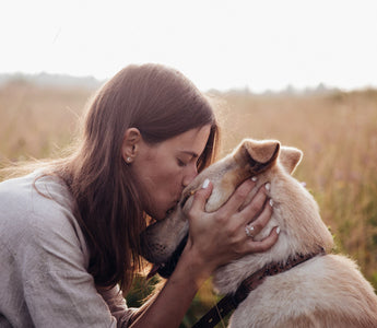 Wie wichtig ist Fett für den Hund? - haustierkost.de