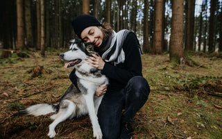 Clickertraining bei Katze und Hund - haustierkost.de