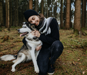 Clickertraining bei Katze und Hund - haustierkost.de