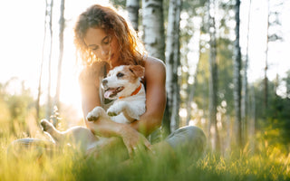 BARFEN für Anfänger: Hunde richtig ernähren - haustierkost.de