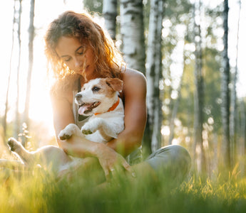 BARFEN für Anfänger: Hunde richtig ernähren - haustierkost.de