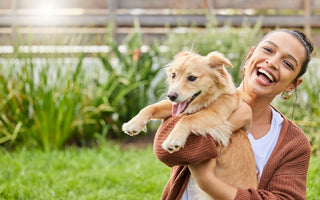 Internationaler Welthundetag: Wir feiern den Hund