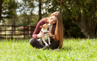 Hund mit Diabetes – was tun? - haustierkost.de