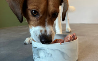 Gefriergetrocknetes Fleisch: Vorteile - haustierkost.de