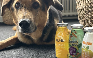 Hundesmoothies von SmoothieDog - haustierkost.de