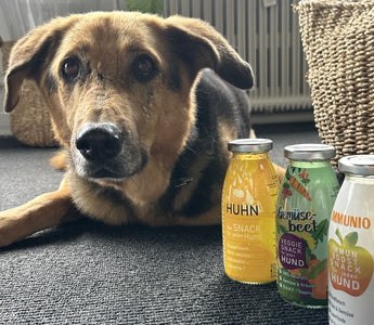 Hundesmoothies von SmoothieDog - haustierkost.de