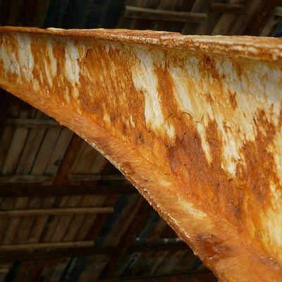 Oxidation – Reaktion mit dem Futter - haustierkost.de