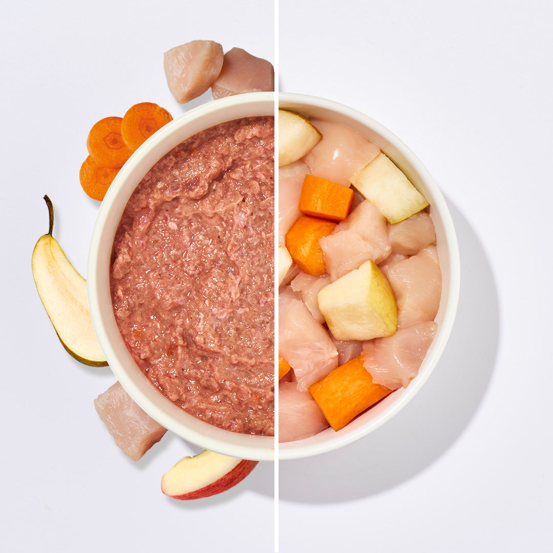 BARF Komfort PLUS Huhn, 30 x 500 g