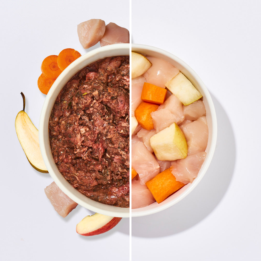 BIO BARF Komfort PLUS Huhn mit Bio-Hühnerhälse, Hühnermägen, Herz, Karotten, Äpfeln und Leinöl in zwei Schalen auf weißem Hintergrund