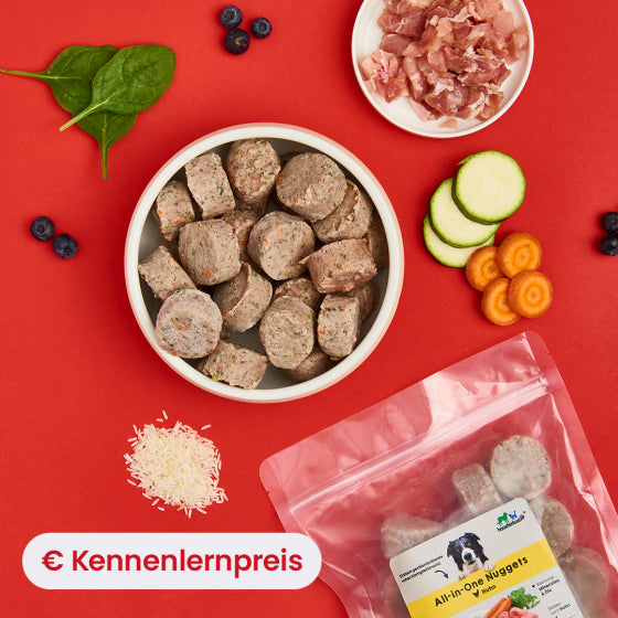 5031_all-in-one-nuggets_chicken_lifestyle_kennenlernpreis