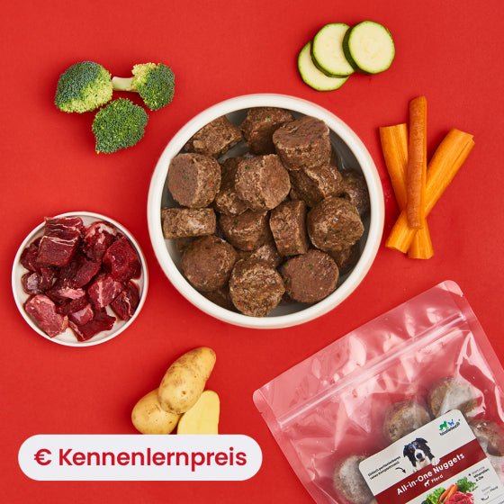 5032_all-in-one-nuggets_horse_lifestyle_kennenlernpreis