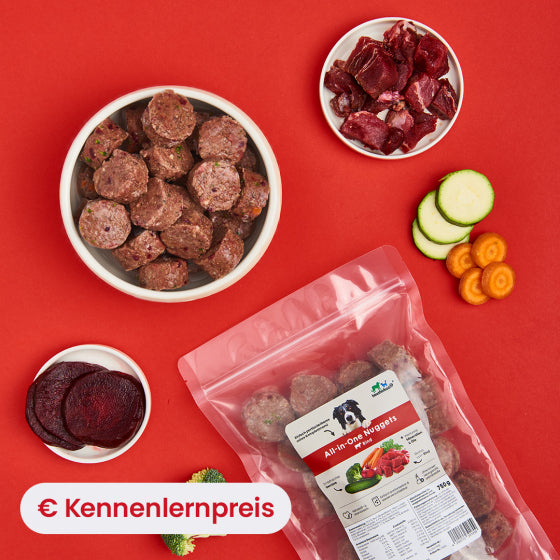 5033_all-in-one-nuggets_beef_lifestyle_kennenlernpreis