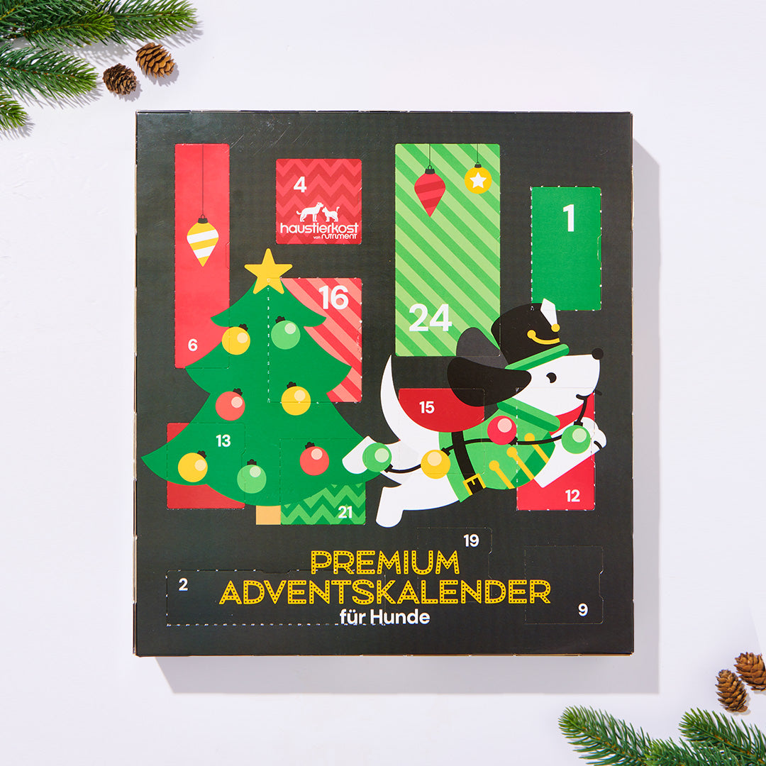 Premium Adventskalender für Hunde mit 24 Türchen, festlichem Design und Leckerlis für die Vorweihnachtszeit