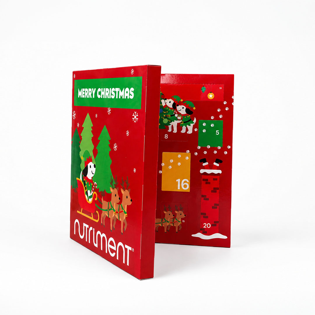 Adventskalender für Hunde