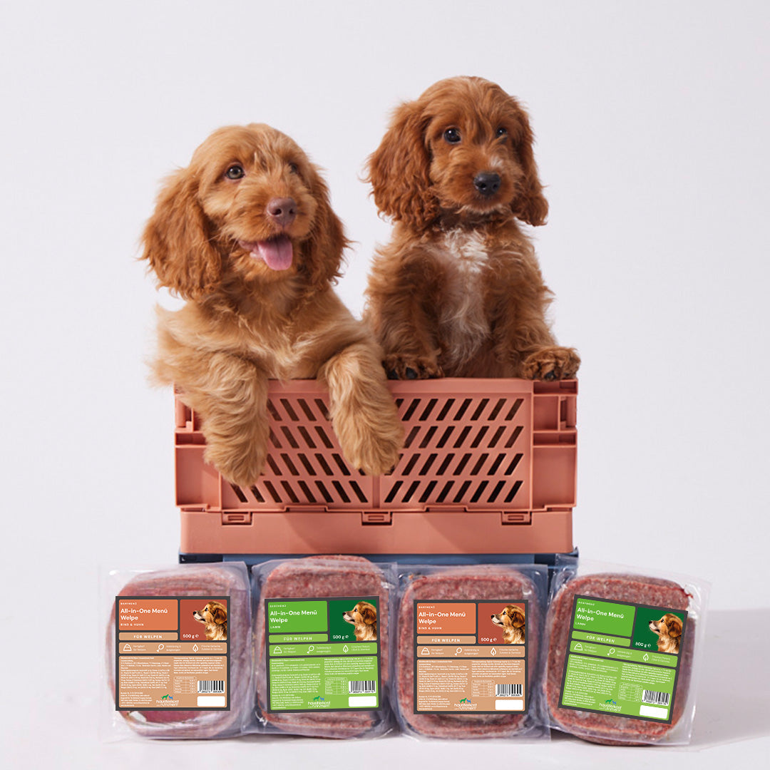 Welpenpaket Premium - haustierkost.de®