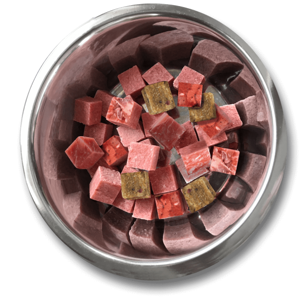 Graf Barf Juniormenü Plus Hähnchen