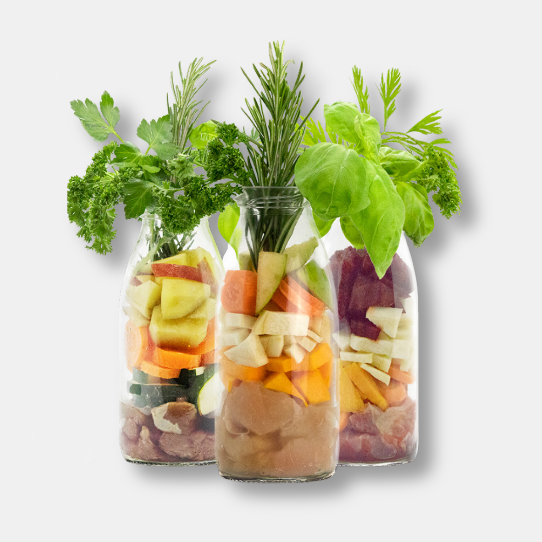 SmoothieDog® Probierpaket, 6 x 250 ml