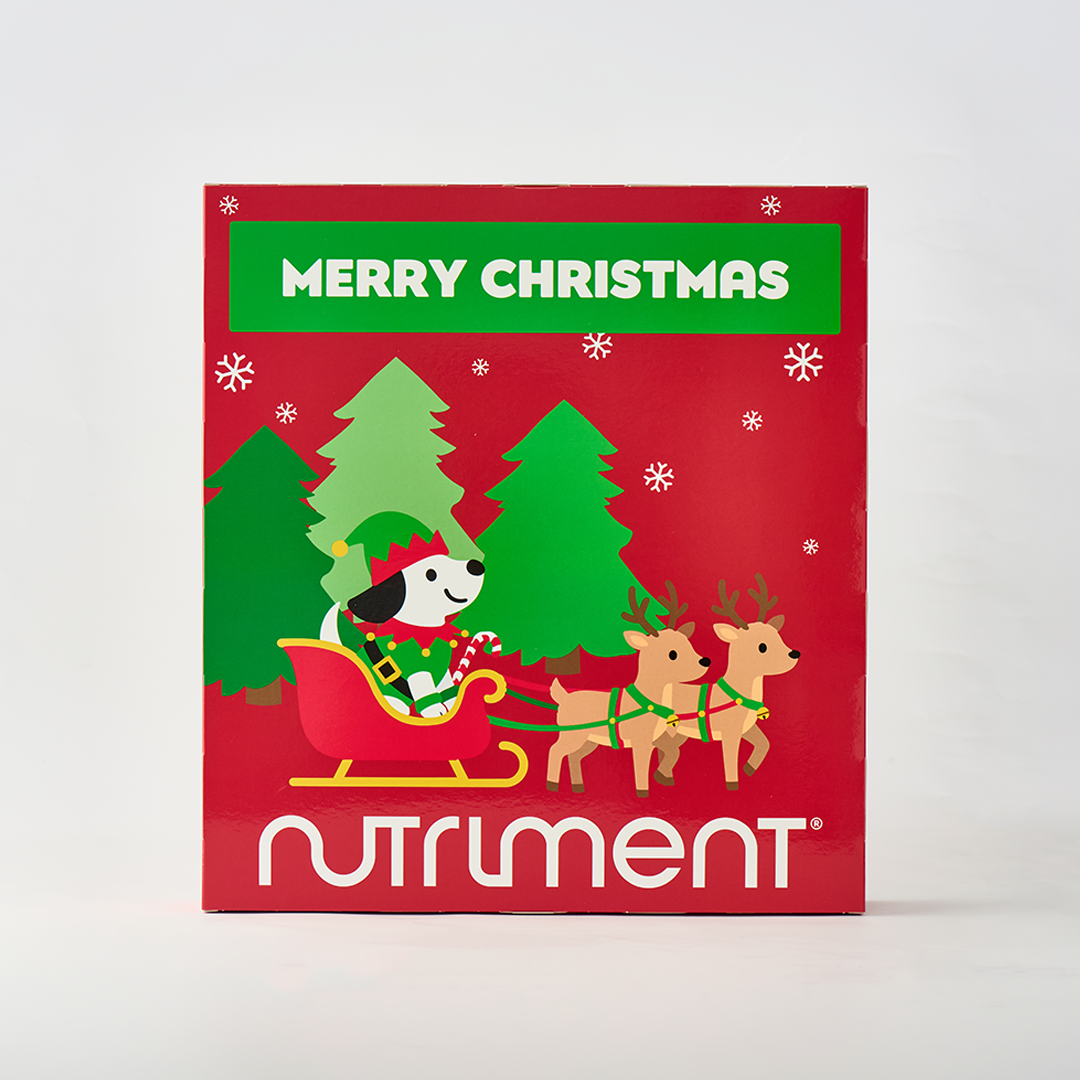 Adventskalender für Hunde