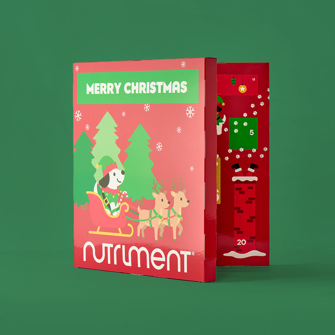 Adventskalender für Hunde