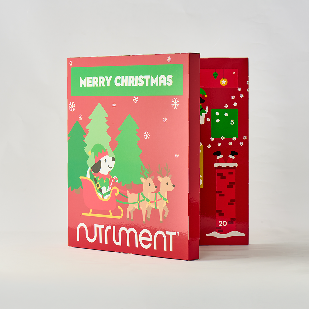Adventskalender für Hunde