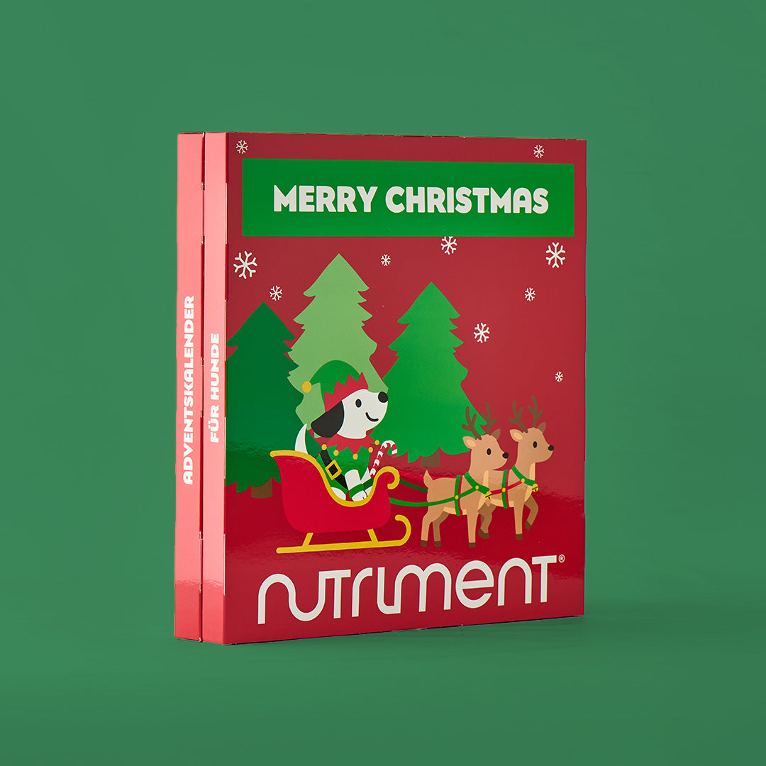 Adventskalender für Hunde