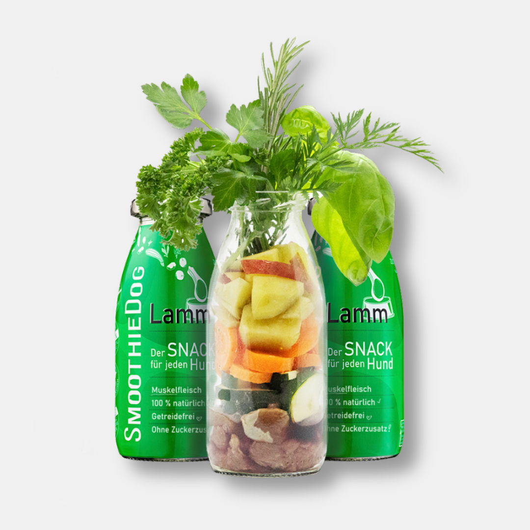 SmoothieDog® Lamm, 250 ml