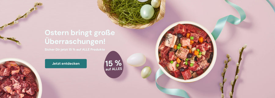Ostersale bis zum 21.04. 15 % auf ALLES