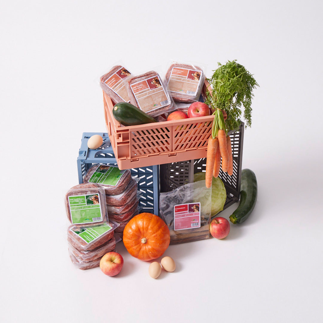 Welpenbox 1 (2025) - haustierkost.de®