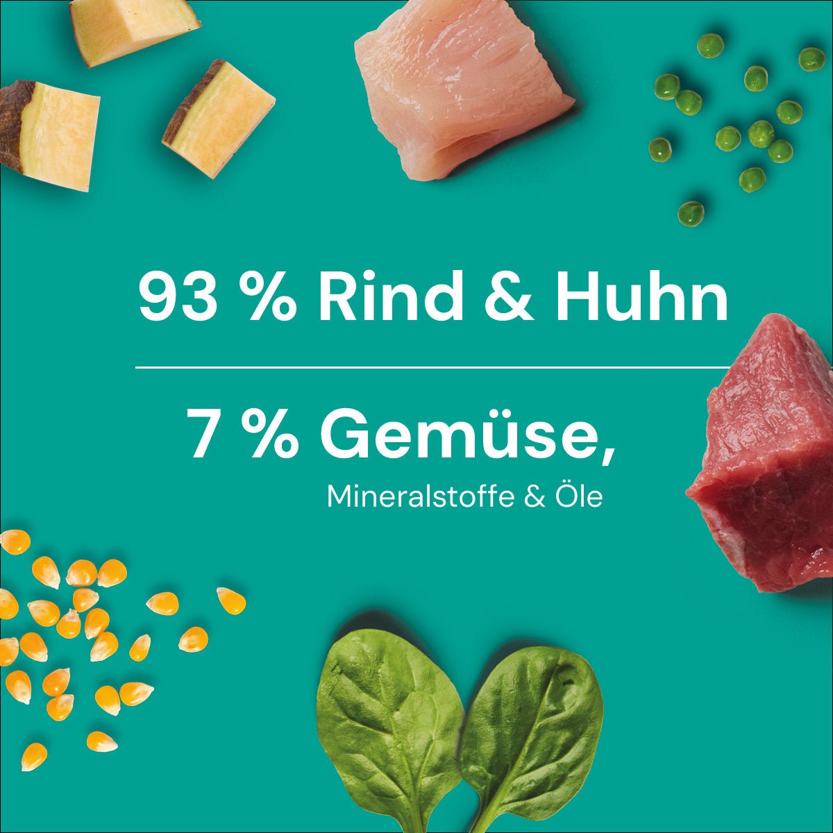 Nutriment BARF In One Pansen PLUS - haustierkost.de®