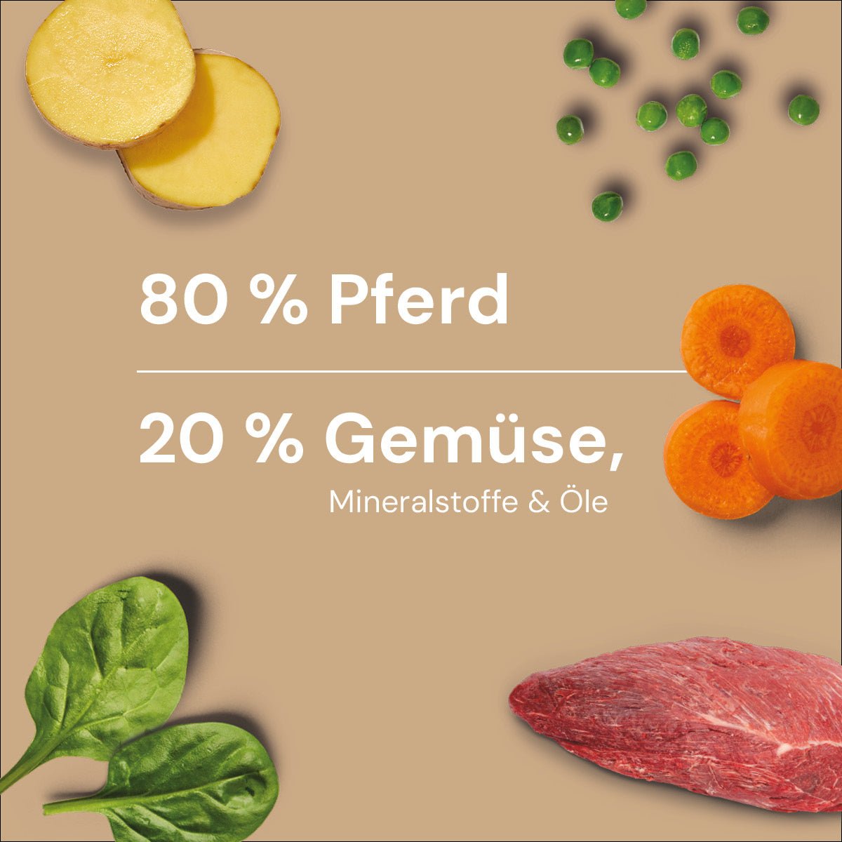 Nutriment BARF In One PFERD - haustierkost.de®