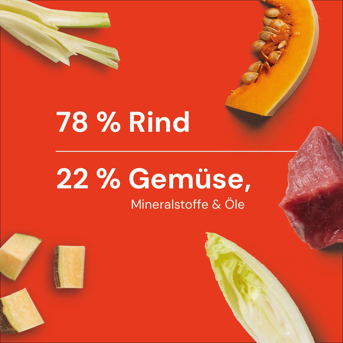 Nutriment BARF in One RIND - haustierkost.de®