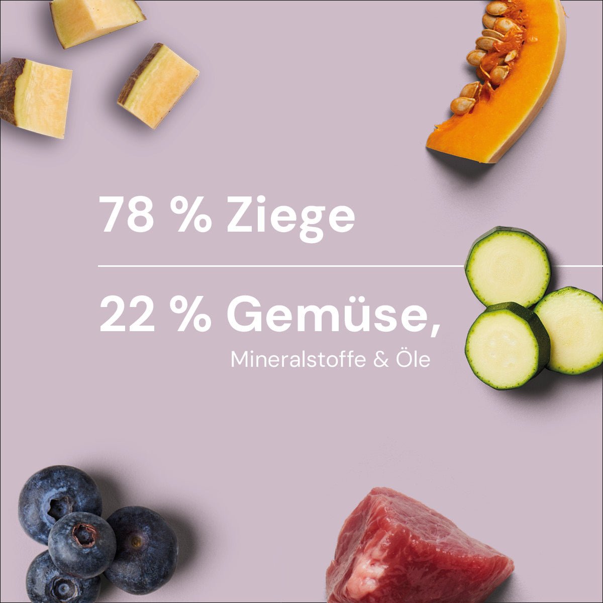 Nutriment BARF In One ZIEGE - haustierkost.de®