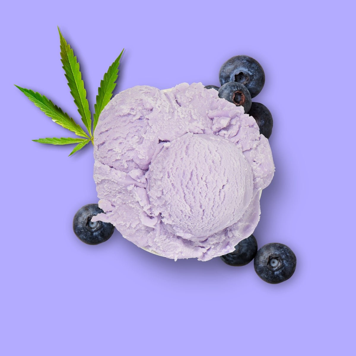 Nutriment HundeEis Hanf & Blaubeere