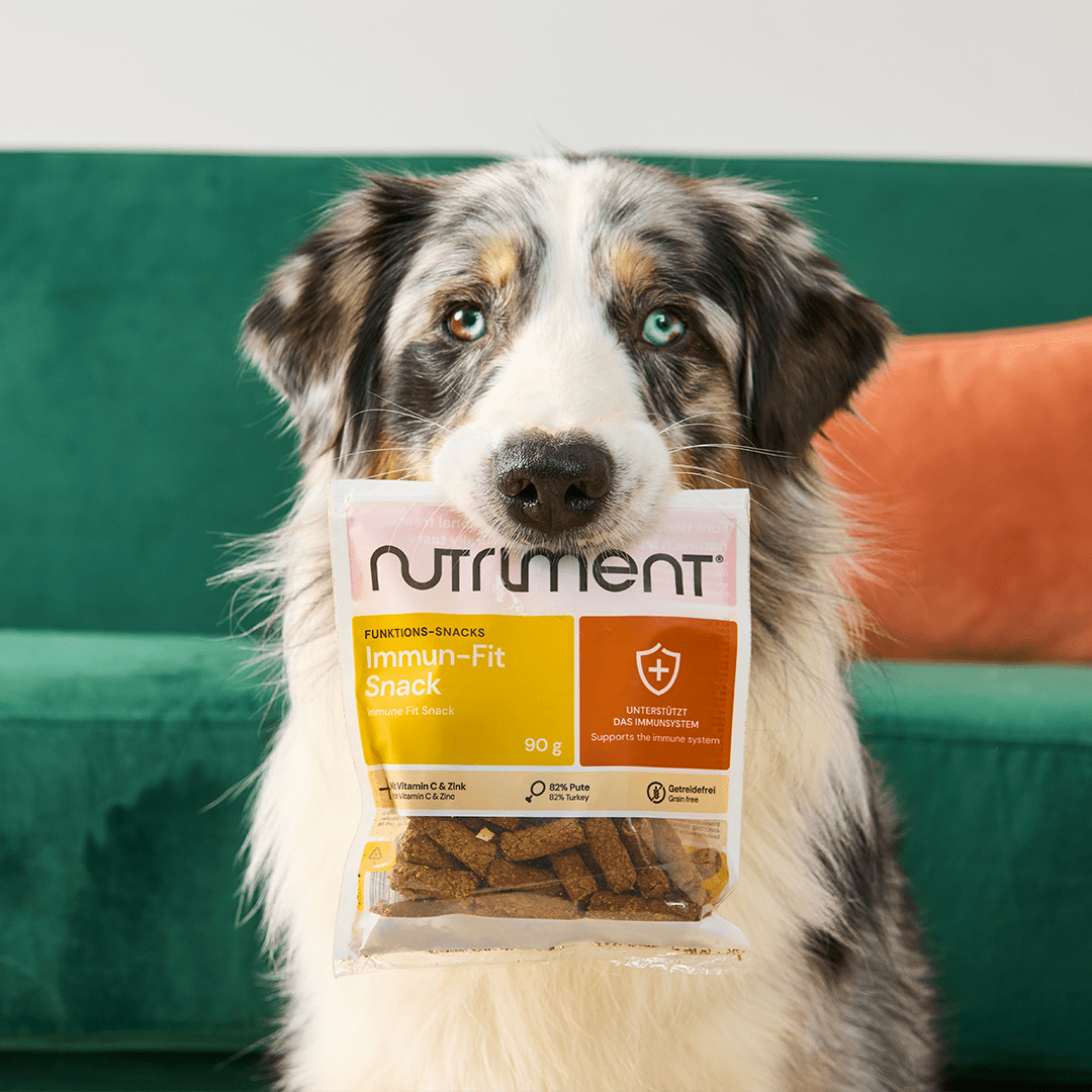 Nutriment Immun-Fit Snack - haustierkost.de®